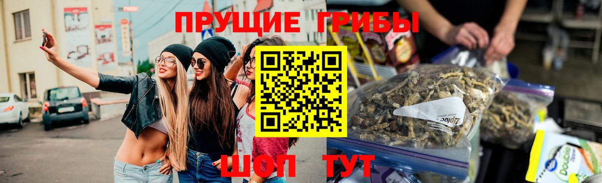 Звенигород  Галлюциногенные грибы Psilocybine cubensis  Псилоцибиновые грибы ЛСД  Вход с VPN 